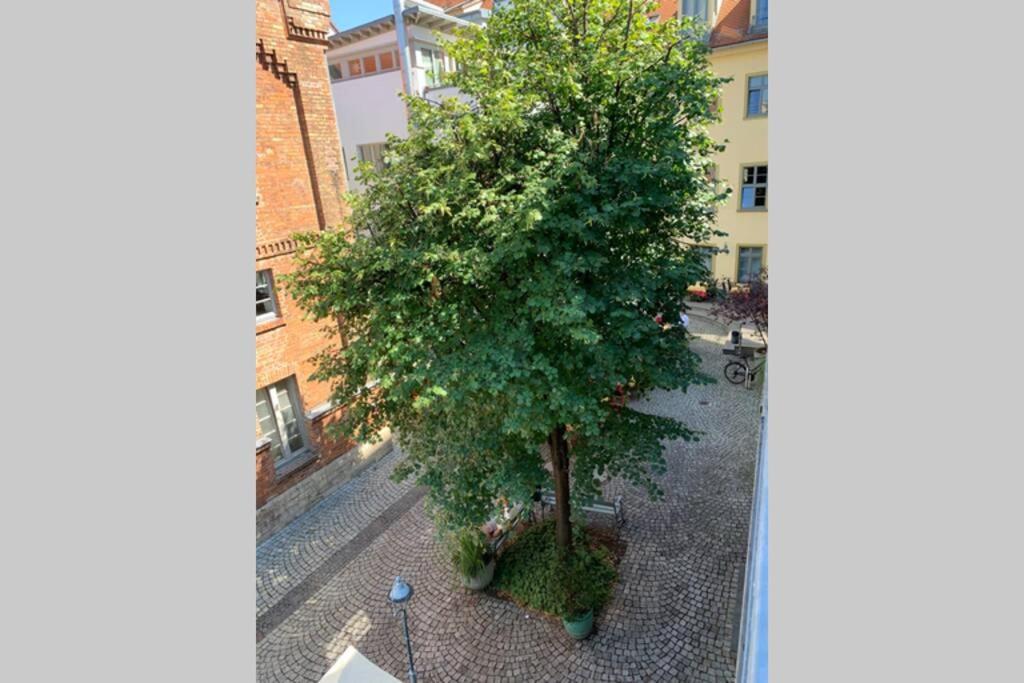 Altstadt, Fewo Im Markthof Am Dom Erfurt Dış mekan fotoğraf